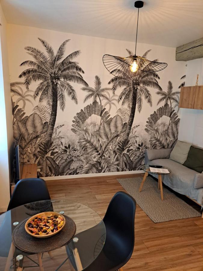 Echappee Belle En Plein Coeur D Auxerre Apartment ภายนอก รูปภาพ